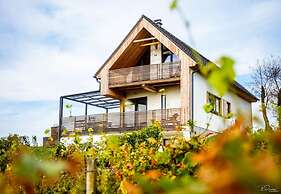 Vineyard Eco House Vukan