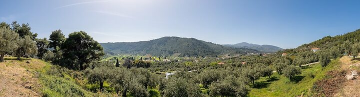 Charming 1-bed House in Stafylos