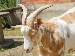 Foulsyke Farm Bungalow