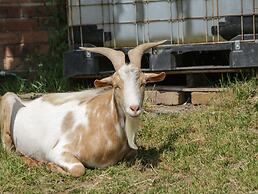 Foulsyke Farm Bungalow