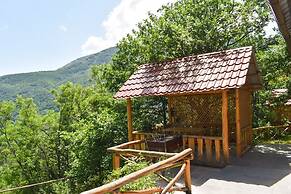 Park Resort Aghveran