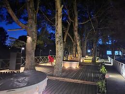 Hotel Y Cabañas Molino Viejo