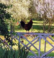 Hotel Y Cabañas Molino Viejo