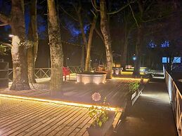 Hotel Y Cabañas Molino Viejo