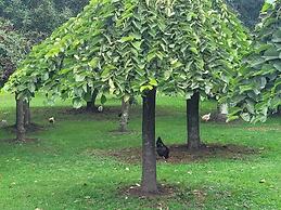 Hotel Y Cabañas Molino Viejo