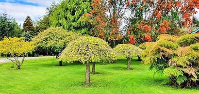 Hotel Y Cabañas Molino Viejo