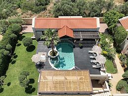 Villa Peacock with Spa Facilities