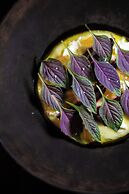 Cedros Hotel Boutique