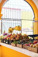 Cedros Hotel Boutique