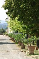 Tenuta Il Tresto - Giaggiolo Holiday Home