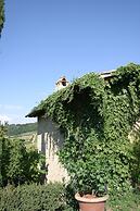 Tenuta Il Tresto - Iris