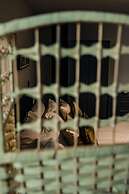 Bv Cosy Basement Apartment At Conditioning House