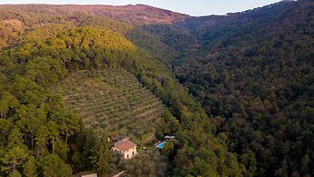 Casa Nel Bosco in Santa Maria del Giudice