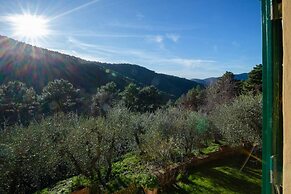 Casa Nel Bosco in Santa Maria del Giudice