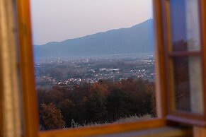 Villa Alberta in Lucca