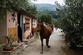La Macina Farmhouse in Matraia