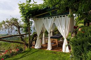 La Macina Farmhouse in Matraia