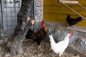 La Macina Farmhouse in Matraia