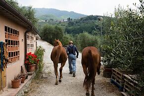La Macina Farmhouse in Matraia