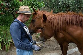 La Macina Farmhouse in Matraia