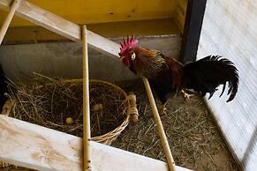 La Macina Farmhouse in Matraia