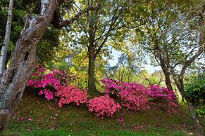 La Macina Farmhouse in Matraia