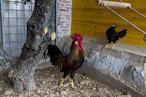 La Macina Farmhouse in Matraia