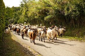 Melograno Farmhouse in Capannori