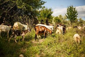 Melograno Farmhouse in Capannori