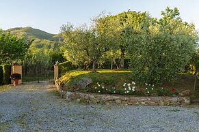 Melograno Farmhouse in Capannori