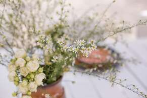 Residence Bosco - Villa Il Noce