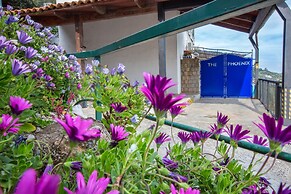 Villa The Phoenix in Nerano