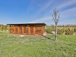 I Giardini Dell Olimpo - Poseidone