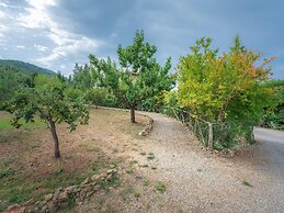 Apartment in Chianti With Pool ID 455