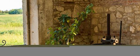 Vigneti Apartment With two Bedrooms and one Bathroom on the Second Flo