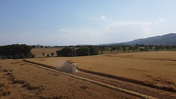 Tigli Apartment With two Bedrooms and one Bathroom on the Second Floor