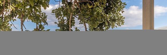 Elaia Bioglam Relais - Appartamento Delta