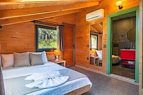 The Luxury Shelters