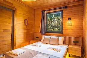 The Luxury Shelters