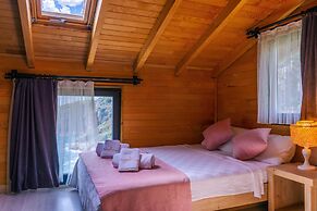 The Luxury Shelters