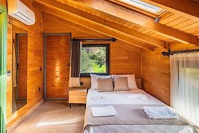 The Luxury Shelters