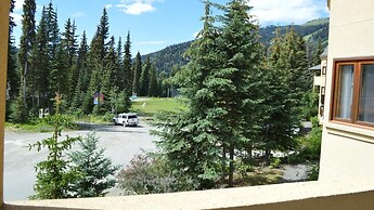 Snow Creek Village #49