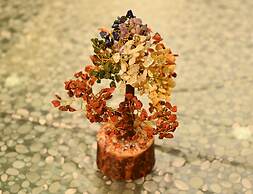 SOHANAs Homestays- 2 BHK Apartment with Terrace near Jaipur Internatio