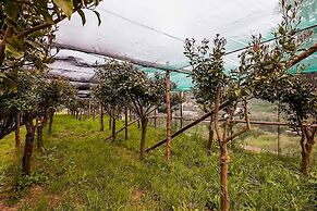 Villa Gioconda in Massa Lubrense