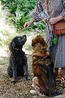 Saorsa 1875 - Plant-based Hotel