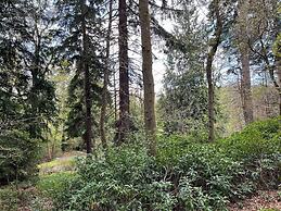 Birchwood Pitlochry