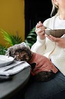 Saorsa 1875 - Plant-based Hotel