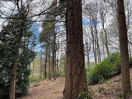 Birchwood Pitlochry