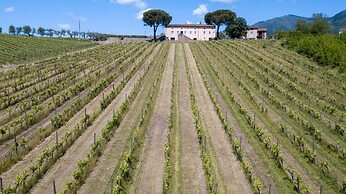 Fattoria Camigliano Wine Estate