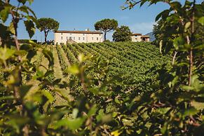 Fattoria Camigliano Wine Estate